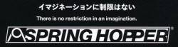 SPRING HOPPER TITANIUM Swivel-Ring¡Ê6.0¡Ë¡Ú¥ß¥º¥¿¥Ë¡ÊMIZUTANI¡¦¿åë¡Ë¡Û6.0¥¤¥ó¥Á¡¦¥ª¥Õ¥»¥Ã¥È¥Ï¥ó¥É¥ë