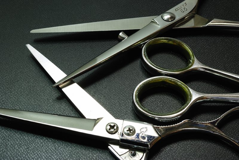 Large Curved Blade Scissors