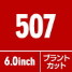 ヒカリ　光龍507　Koryu