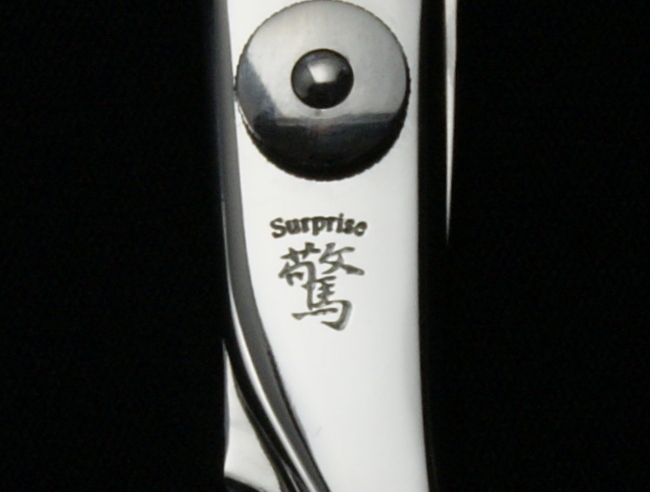 驚・Surprise・2SK-30・30目・カット率20～30%・6.0インチ